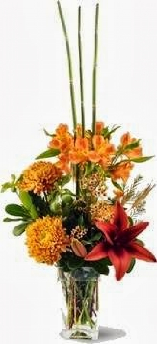 Photo by <br />
<b>Notice</b>:  Undefined index: user in <b>/home/www/activeuser/data/www/vaplace.com/core/views/default/photos.php</b> on line <b>128</b><br />
. Picture for Cliff Garden Florist in Fair Lawn City, New Jersey, United States - Point of interest, Establishment, Store, Florist