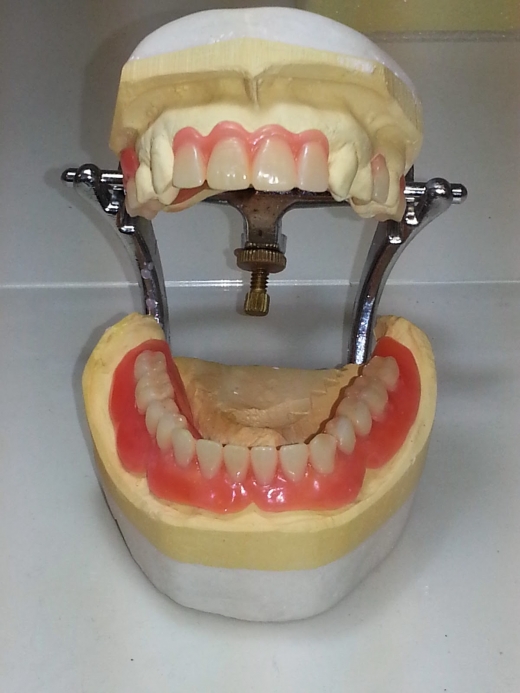 Fam Karas Dental Laboratory L.L.C in Kings County City, New York, United States - #2 Photo of Point of interest, Establishment, Health