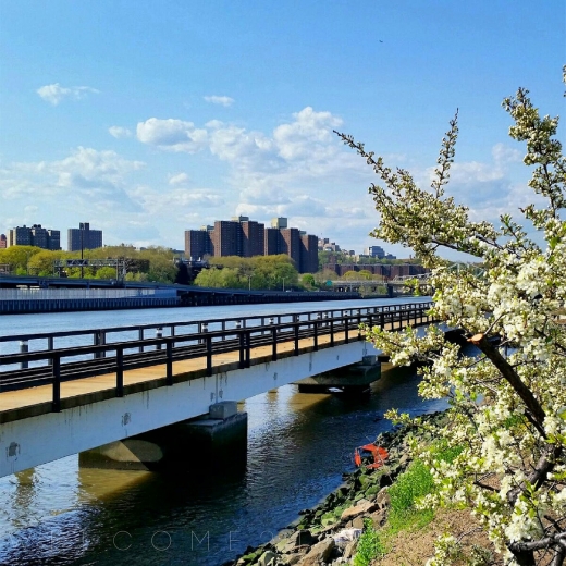 Mill Pond Park in Bronx City, New York, United States - #2 Photo of Point of interest, Establishment, Park