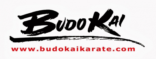 Photo by Budo Kai Karate for Budo Kai Karate