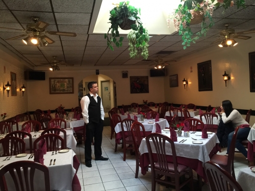 Cafe Salamanca in Flushing City, New York, United States - #4 Photo of Restaurant, Food, Point of interest, Establishment