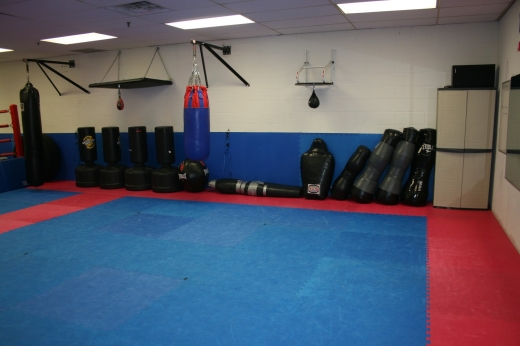White Tiger Martial Arts in Wayne City, New Jersey, United States - #1 Photo of Point of interest, Establishment, Health