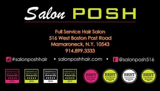 Salon POSH in Mamaroneck City, New York, United States - #3 Photo of Point of interest, Establishment, Hair care