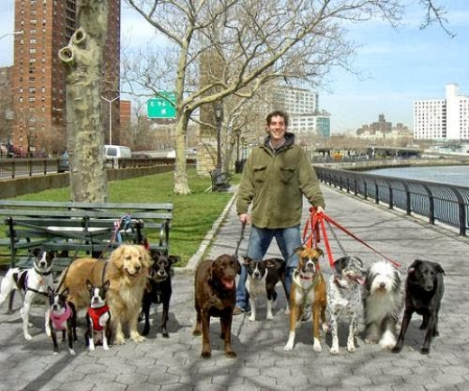 Photo by NY Loves Dogs/Susan Cava for NY Loves Dogs/Susan Cava