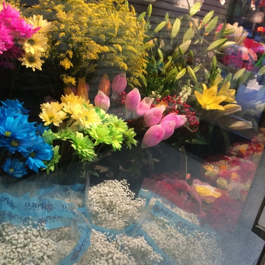 Puebla Flowers Corp. in Bronx City, New York, United States - #2 Photo of Point of interest, Establishment, Store, Florist