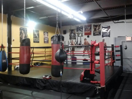 KAYO Boxing in Garden City Park, New York, United States - #2 Photo of Point of interest, Establishment, Health, Gym