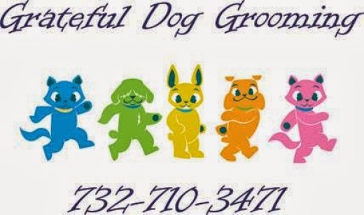 Grateful Dog Grooming in Fords City, New Jersey, United States - #1 Photo of Point of interest, Establishment, Store