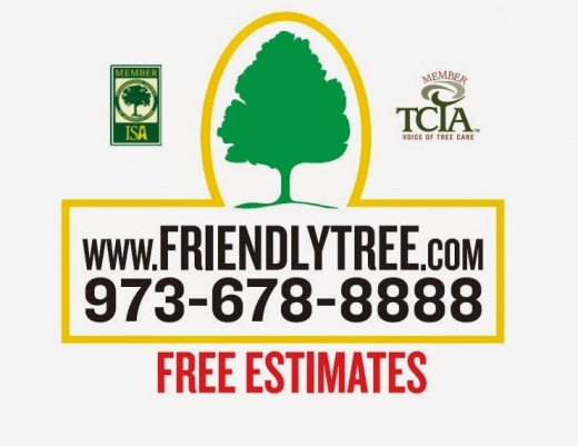 Friendly Tree Service- Fine Pruning of Trees and Shrubs in City of Orange, New Jersey, United States - #3 Photo of Point of interest, Establishment