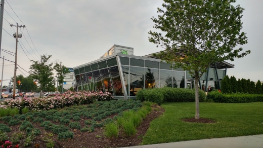 Shake Shack in Garden City, New York, United States - #3 Photo of Restaurant, Food, Point of interest, Establishment, Store, Meal takeaway