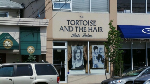 Tortoise & the Hair in Richmond City, New York, United States - #1 Photo of Point of interest, Establishment, Beauty salon