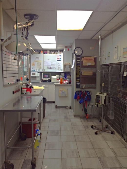 Antelyes Animal Hospital in Flushing City, New York, United States - #2 Photo of Point of interest, Establishment, Veterinary care