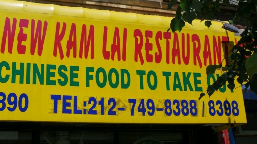 New Kam Lai in New York City, New York, United States - #3 Photo of Restaurant, Food, Point of interest, Establishment
