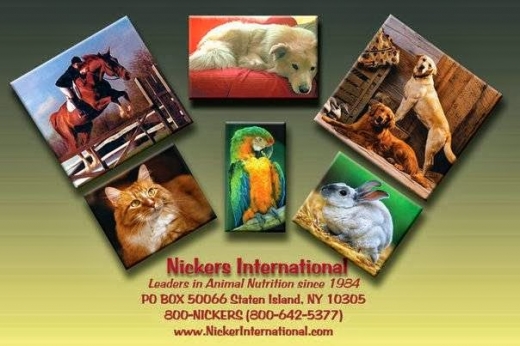 Photo by Nickers International for Nickers International