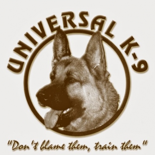 Universal K9w in Kings County City, New York, United States - #4 Photo of Point of interest, Establishment