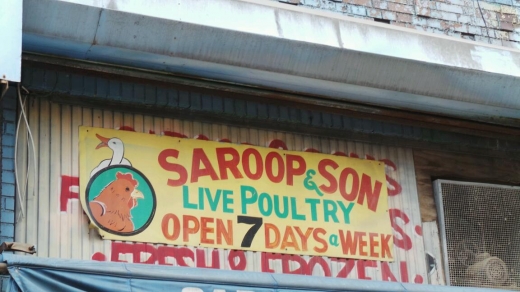 Photo by Walkertwentythree NYC for Saroop & Son Live Poultry Market