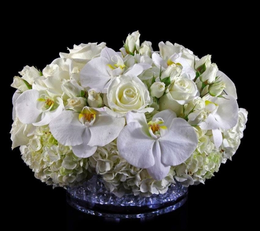 Photo by <br />
<b>Notice</b>:  Undefined index: user in <b>/home/www/activeuser/data/www/vaplace.com/core/views/default/photos.php</b> on line <b>128</b><br />
. Picture for Ariston Florist in New York City, New York, United States - Point of interest, Establishment, Store, Florist