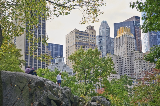 Gardens NYC, an Affinia hotel in New York City, New York, United States - #2 Photo of Point of interest, Establishment, Lodging