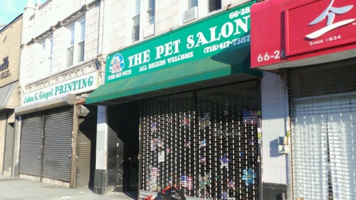 Photo by Walkereight NYC for The Pet Salon