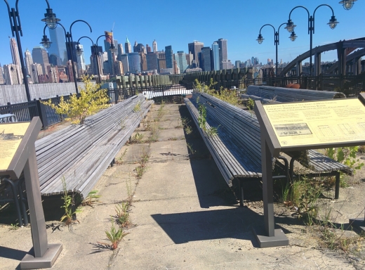 Liberty State Park in Jersey City, New Jersey, United States - #2 Photo of Point of interest, Establishment, Park