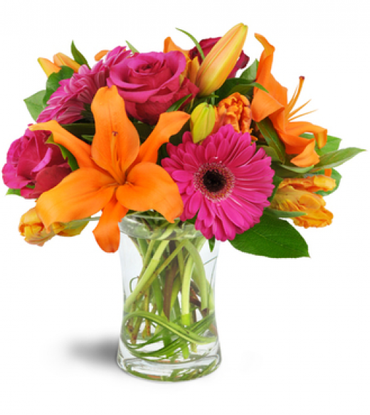 Photo by <br />
<b>Notice</b>:  Undefined index: user in <b>/home/www/activeuser/data/www/vaplace.com/core/views/default/photos.php</b> on line <b>128</b><br />
. Picture for Tuckahoe Florist in Tuckahoe City, New York, United States - Point of interest, Establishment, Store, Florist