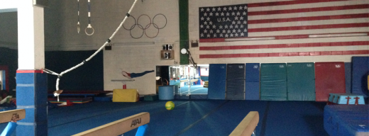 Brooklyn Gymnastics Center in Brooklyn City, New York, United States - #2 Photo of Point of interest, Establishment, Health, Gym