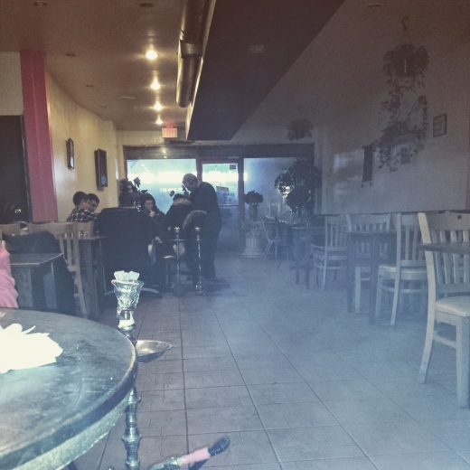 Tel Aviv Cafe in Kings County City, New York, United States - #2 Photo of Point of interest, Establishment