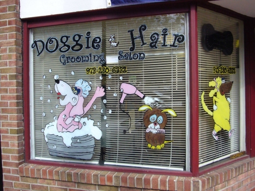 Doggie Hair in City of Orange, New Jersey, United States - #1 Photo of Point of interest, Establishment