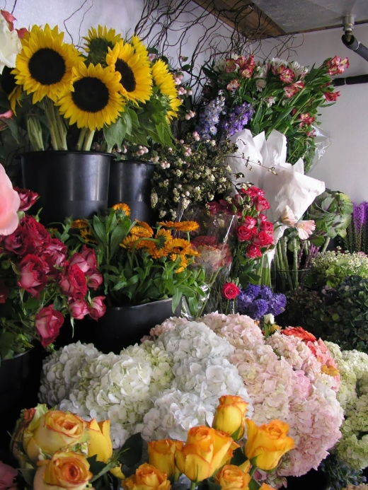 Photo by <br />
<b>Notice</b>:  Undefined index: user in <b>/home/www/activeuser/data/www/vaplace.com/core/views/default/photos.php</b> on line <b>128</b><br />
. Picture for The Woodmere Florist Ltd. in Woodmere City, New York, United States - Food, Point of interest, Establishment, Store, Home goods store, Florist