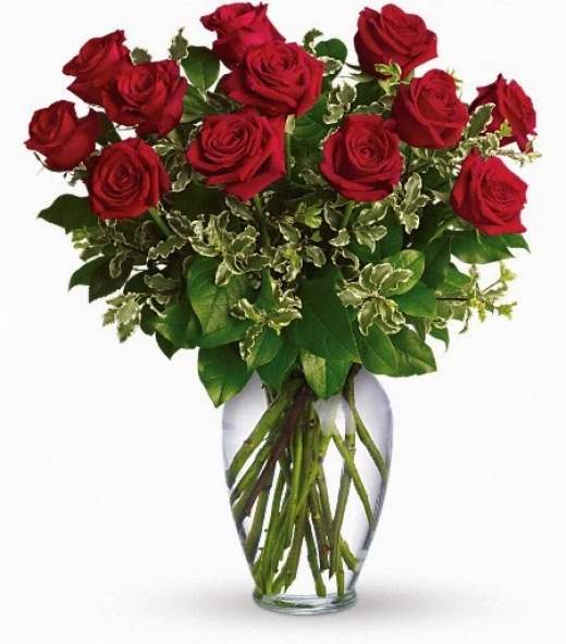 Photo by <br />
<b>Notice</b>:  Undefined index: user in <b>/home/www/activeuser/data/www/vaplace.com/core/views/default/photos.php</b> on line <b>128</b><br />
. Picture for Montclair Florist in Belleville City, New Jersey, United States - Point of interest, Establishment, Store, Florist
