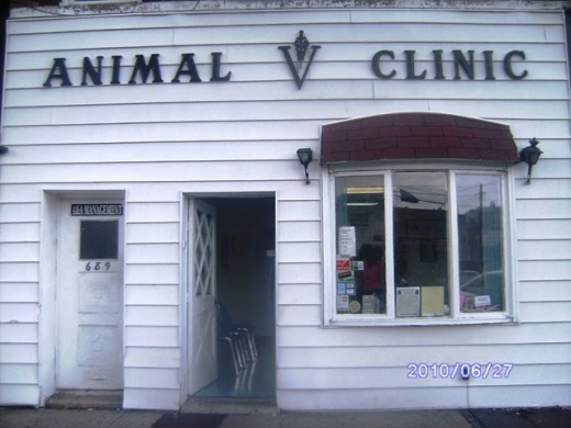 Animal Clinic of Bay Ridge in Brooklyn City, New York, United States - #1 Photo of Point of interest, Establishment, Store, Health, Veterinary care