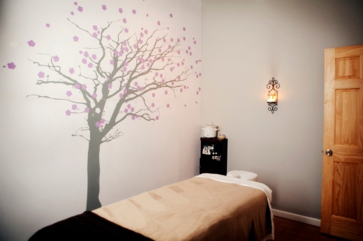 Hoboken Women's Wellness in Hoboken City, New Jersey, United States - #2 Photo of Point of interest, Establishment, Health, Spa