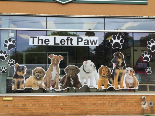 The Left Paw - The best place to find your new puppy in New Hyde Park City, New York, United States - #3 Photo of Food, Point of interest, Establishment, Store, Pet store