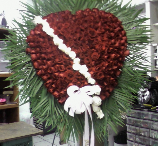 Photo by <br />
<b>Notice</b>:  Undefined index: user in <b>/home/www/activeuser/data/www/vaplace.com/core/views/default/photos.php</b> on line <b>128</b><br />
. Picture for G & S Florist & Gifts in Brooklyn City, New York, United States - Point of interest, Establishment, Store, Florist