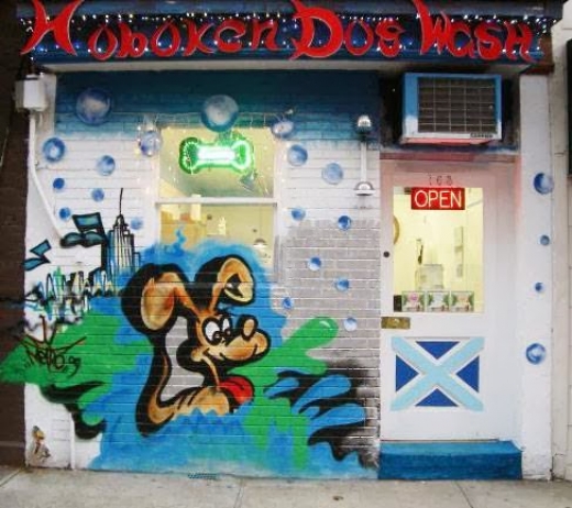 Hoboken Dog Wash in Hoboken City, New Jersey, United States - #1 Photo of Point of interest, Establishment