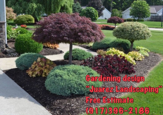 "Juarez Landscaping Company" Gardening Services Queens & Long island NEW YORK in Jamaica queens City, New York, United States - #4 Photo of Point of interest, Establishment, General contractor