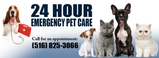 Photo by <br />
<b>Notice</b>:  Undefined index: user in <b>/home/www/activeuser/data/www/vaplace.com/core/views/default/photos.php</b> on line <b>128</b><br />
. Picture for Central Veterinary Associates in Valley Stream City, New York, United States - Point of interest, Establishment, Veterinary care