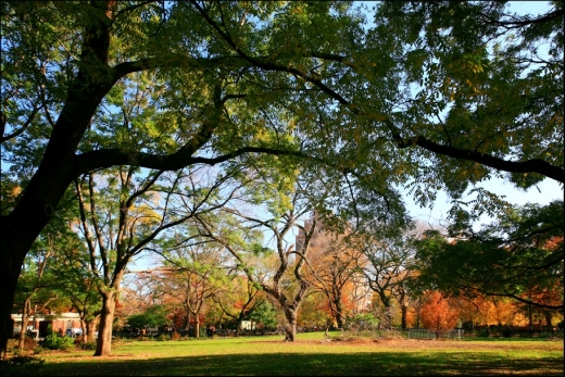 Tompkins Square Park in New York City, New York, United States - #1 Photo of Point of interest, Establishment, Park