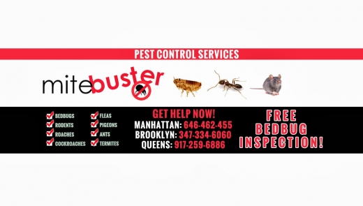 MiteBuster Pest Control in Queens City, New York, United States - #1 Photo of Point of interest, Establishment, Store, Home goods store