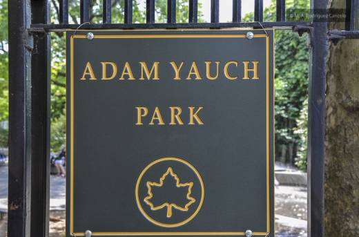 Photo by Marcelo A. Rodriguez Cancelo for Adam Yauch Park