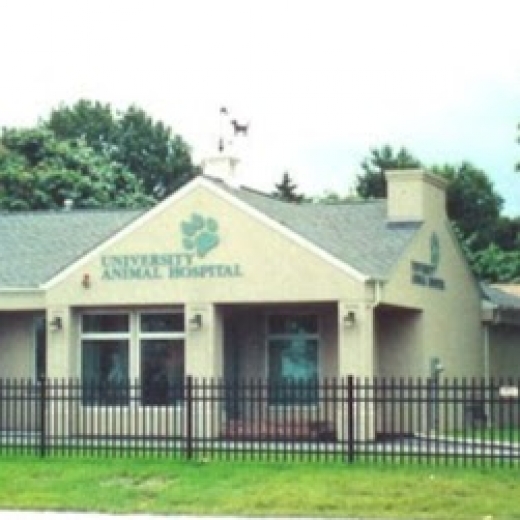 University Animal Hospital in Uniondale City, New York, United States - #3 Photo of Point of interest, Establishment, Veterinary care