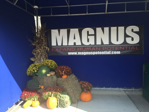 Magnus Potential in Tenafly City, New Jersey, United States - #2 Photo of Point of interest, Establishment, Health, Gym