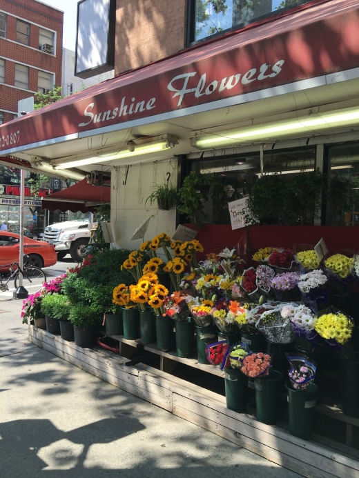Sunshine Flower Factory Inc in New York City, New York, United States - #2 Photo of Point of interest, Establishment, Store, Florist