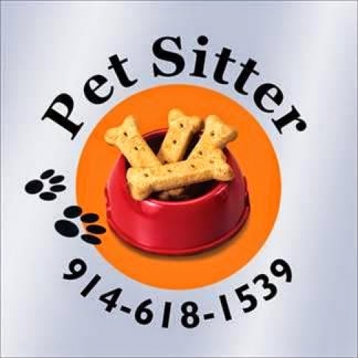 Dog Walker/Pet Sitter / Paws-On-Me, LLC. in Village of Pelham City, New York, United States - #3 Photo of Point of interest, Establishment