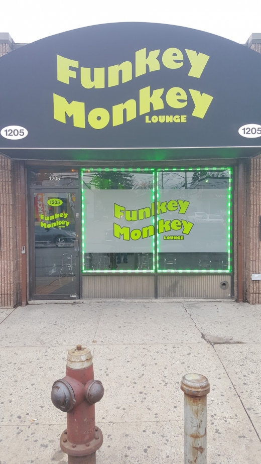 Funkey Monkey in New York City, New York, United States - #1 Photo of Point of interest, Establishment, Bar