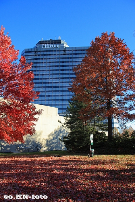 Hilton Meadowlands in East Rutherford City, New Jersey, United States - #3 Photo of Point of interest, Establishment, Lodging