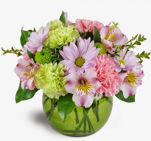 Photo by <br />
<b>Notice</b>:  Undefined index: user in <b>/home/www/activeuser/data/www/vaplace.com/core/views/default/photos.php</b> on line <b>128</b><br />
. Picture for Midtown Florist in Brooklyn City, New York, United States - Point of interest, Establishment, Store, Florist