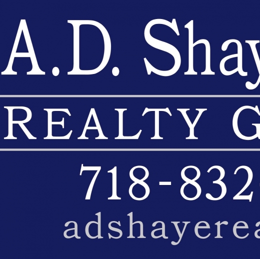 A D Shaye Realty Group in Brooklyn City, New York, United States - #1 Photo of Point of interest, Establishment, Finance, Real estate agency