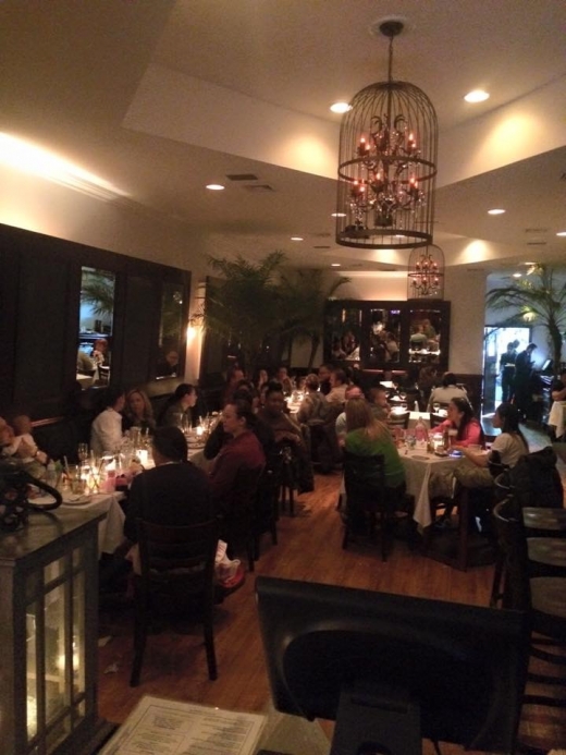 Salud BKLYN in New York City, New York, United States - #1 Photo of Restaurant, Food, Point of interest, Establishment