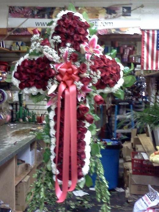 Photo by <br />
<b>Notice</b>:  Undefined index: user in <b>/home/www/activeuser/data/www/vaplace.com/core/views/default/photos.php</b> on line <b>128</b><br />
. Picture for Bayside Florist, Inc. in Bayside City, New York, United States - Point of interest, Establishment, Store, Home goods store, Florist