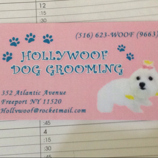Photo by <br />
<b>Notice</b>:  Undefined index: user in <b>/home/www/activeuser/data/www/vaplace.com/core/views/default/photos.php</b> on line <b>128</b><br />
. Picture for Hollywoof Grooming Salon in Freeport City, New York, United States - Point of interest, Establishment